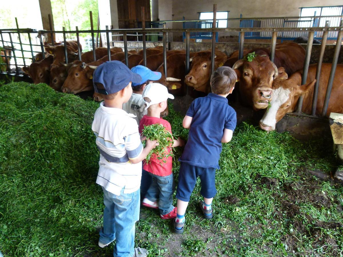Ferienwohnung Schwabenhof Leutershausen  Ngoại thất bức ảnh